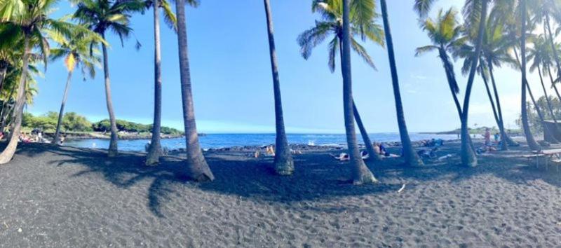 Charming 1 Bedroom Beach Condo Prime Location Great Value Pahala Экстерьер фото