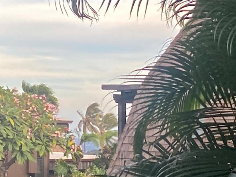 Charming 1 Bedroom Beach Condo Prime Location Great Value Pahala Экстерьер фото